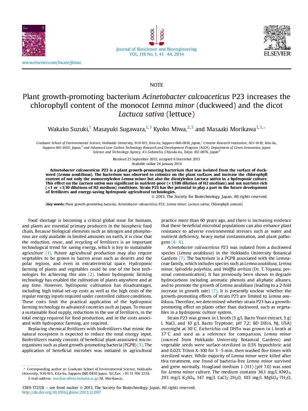 Plant growth-promoting bacterium Acinetobacter calcoaceticus P23 increases the chlorophyll content of the monocot Lemna minor (duckweed) and the dicot Lactuca sativa (lettuce)