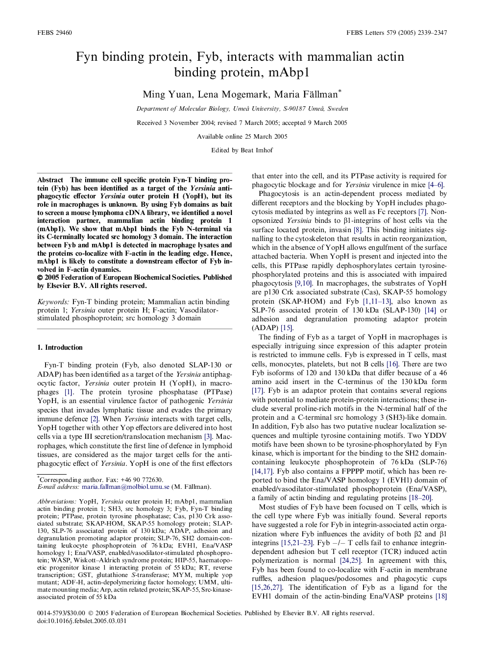 Fyn binding protein, Fyb, interacts with mammalian actin binding protein, mAbp1