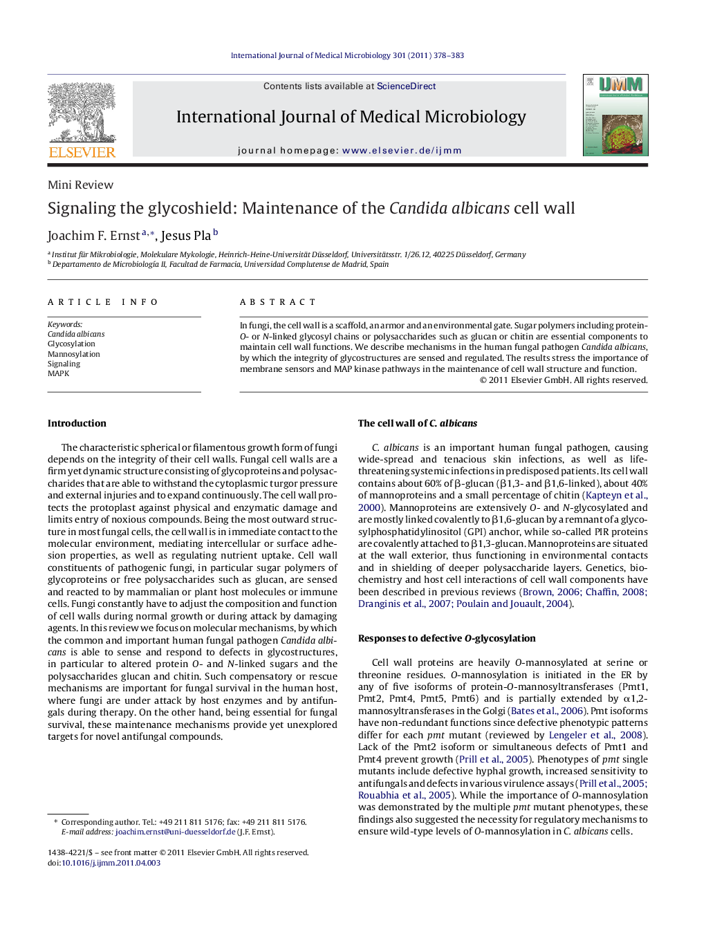 Signaling the glycoshield: Maintenance of the Candida albicans cell wall