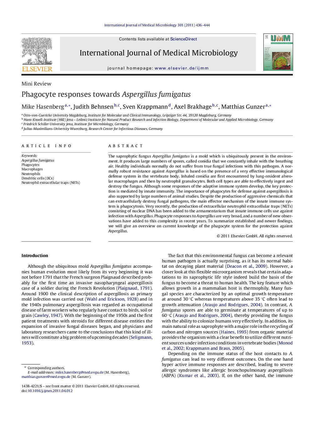 Phagocyte responses towards Aspergillus fumigatus