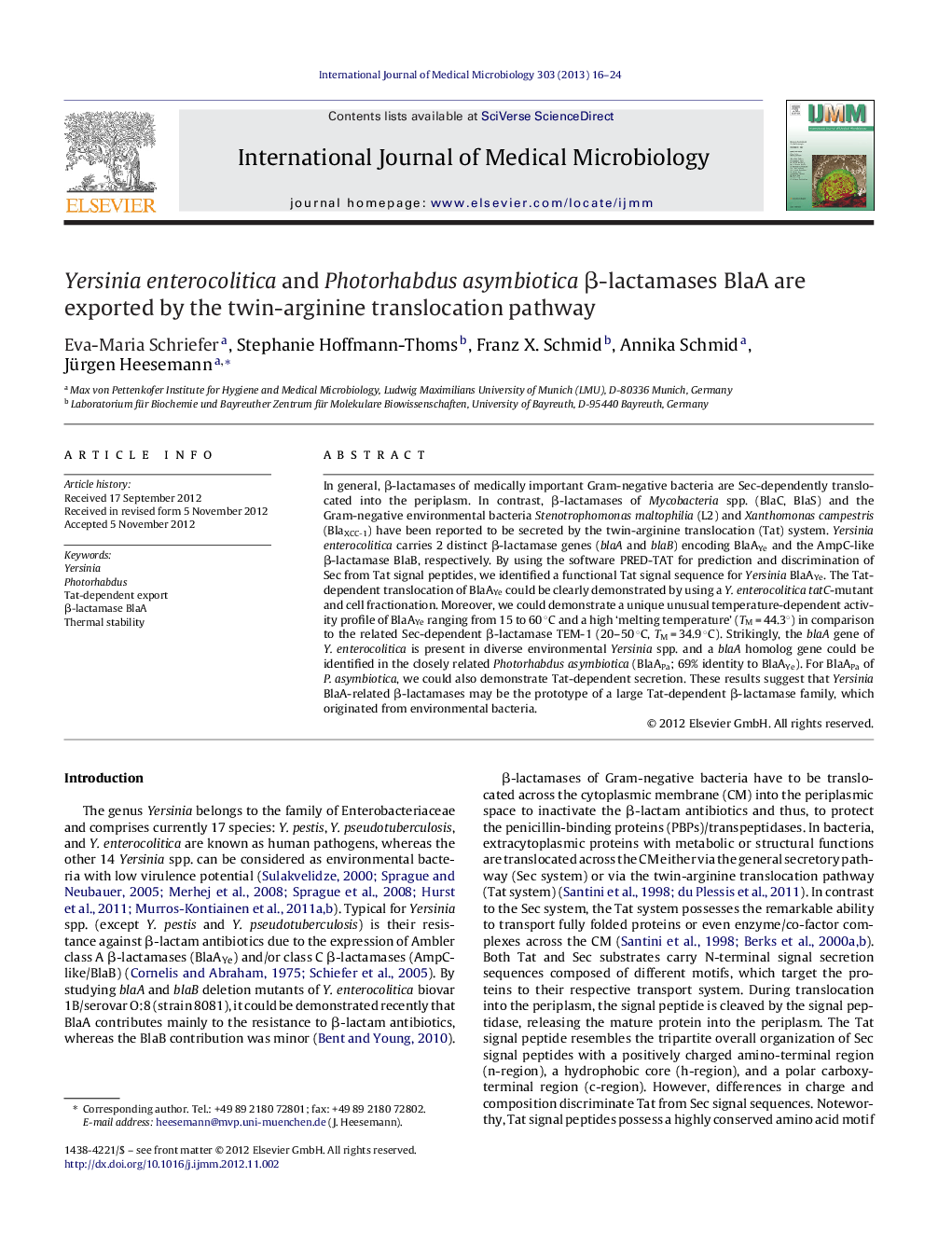 Yersinia enterocolitica and Photorhabdus asymbiotica β-lactamases BlaA are exported by the twin-arginine translocation pathway