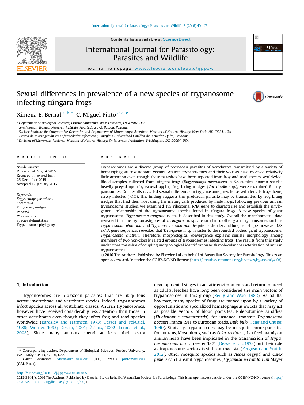 Sexual differences in prevalence of a new species of trypanosome infecting túngara frogs