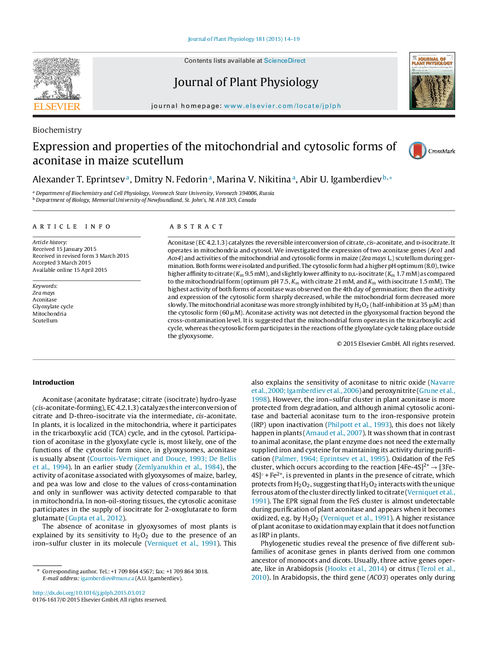 Expression and properties of the mitochondrial and cytosolic forms of aconitase in maize scutellum