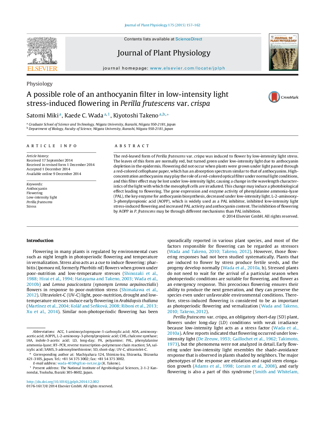 A possible role of an anthocyanin filter in low-intensity light stress-induced flowering in Perilla frutescens var. crispa