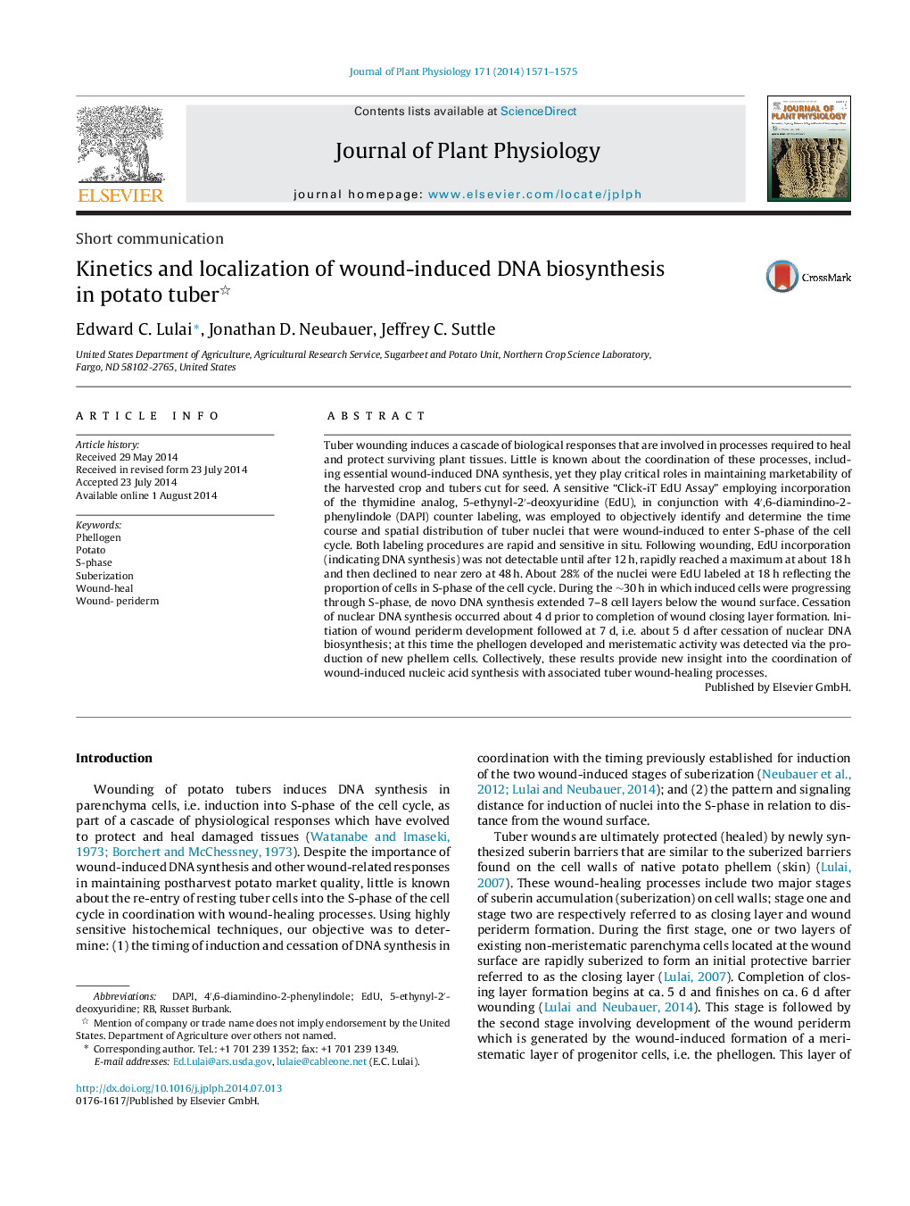 Kinetics and localization of wound-induced DNA biosynthesis in potato tuber 