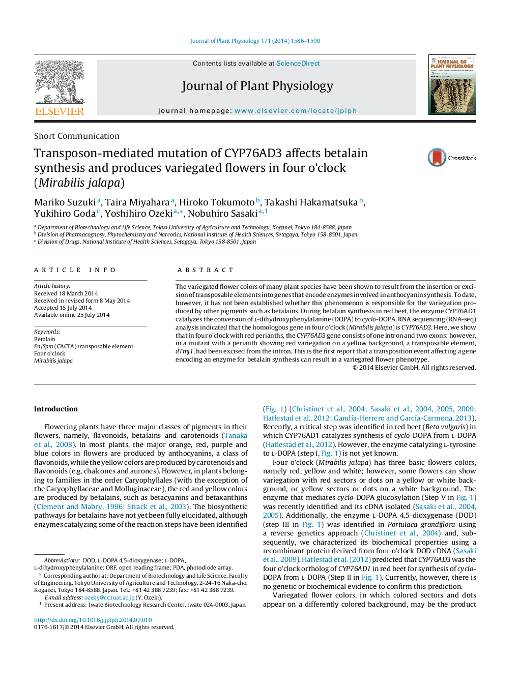 Transposon-mediated mutation of CYP76AD3 affects betalain synthesis and produces variegated flowers in four o’clock (Mirabilis jalapa)