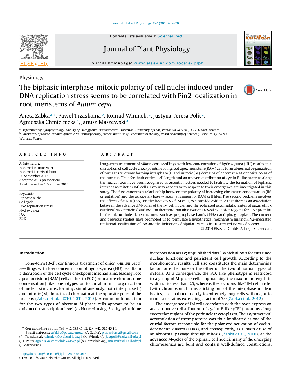 The biphasic interphase-mitotic polarity of cell nuclei induced under DNA replication stress seems to be correlated with Pin2 localization in root meristems of Allium cepa