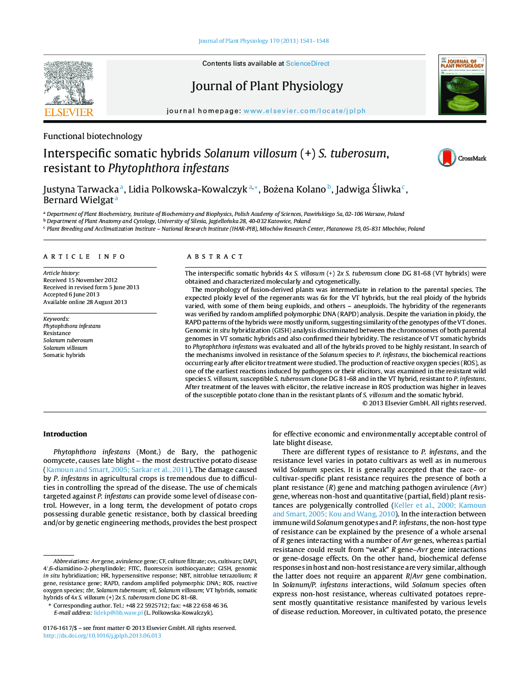 Interspecific somatic hybrids Solanum villosum (+) S. tuberosum, resistant to Phytophthora infestans