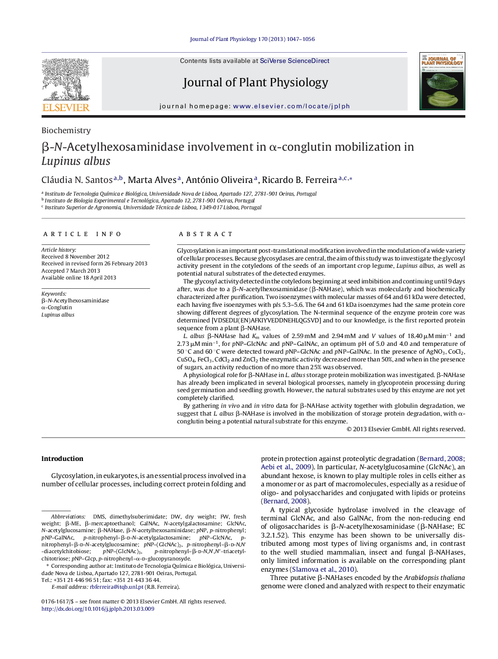 β-N-Acetylhexosaminidase involvement in α-conglutin mobilization in Lupinus albus