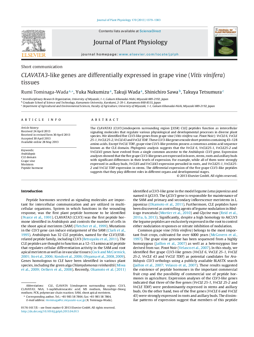 CLAVATA3-like genes are differentially expressed in grape vine (Vitis vinifera) tissues