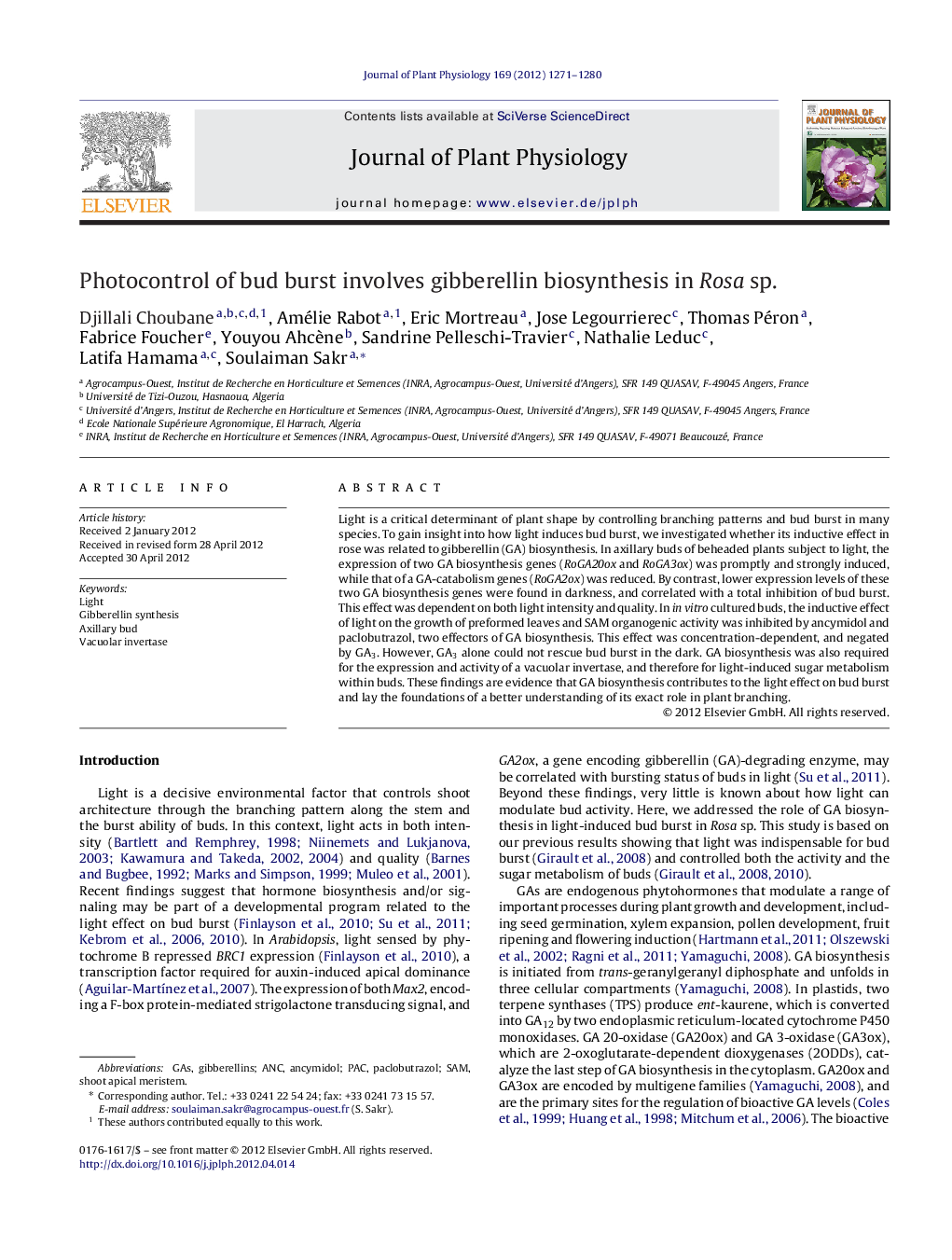 Photocontrol of bud burst involves gibberellin biosynthesis in Rosa sp.