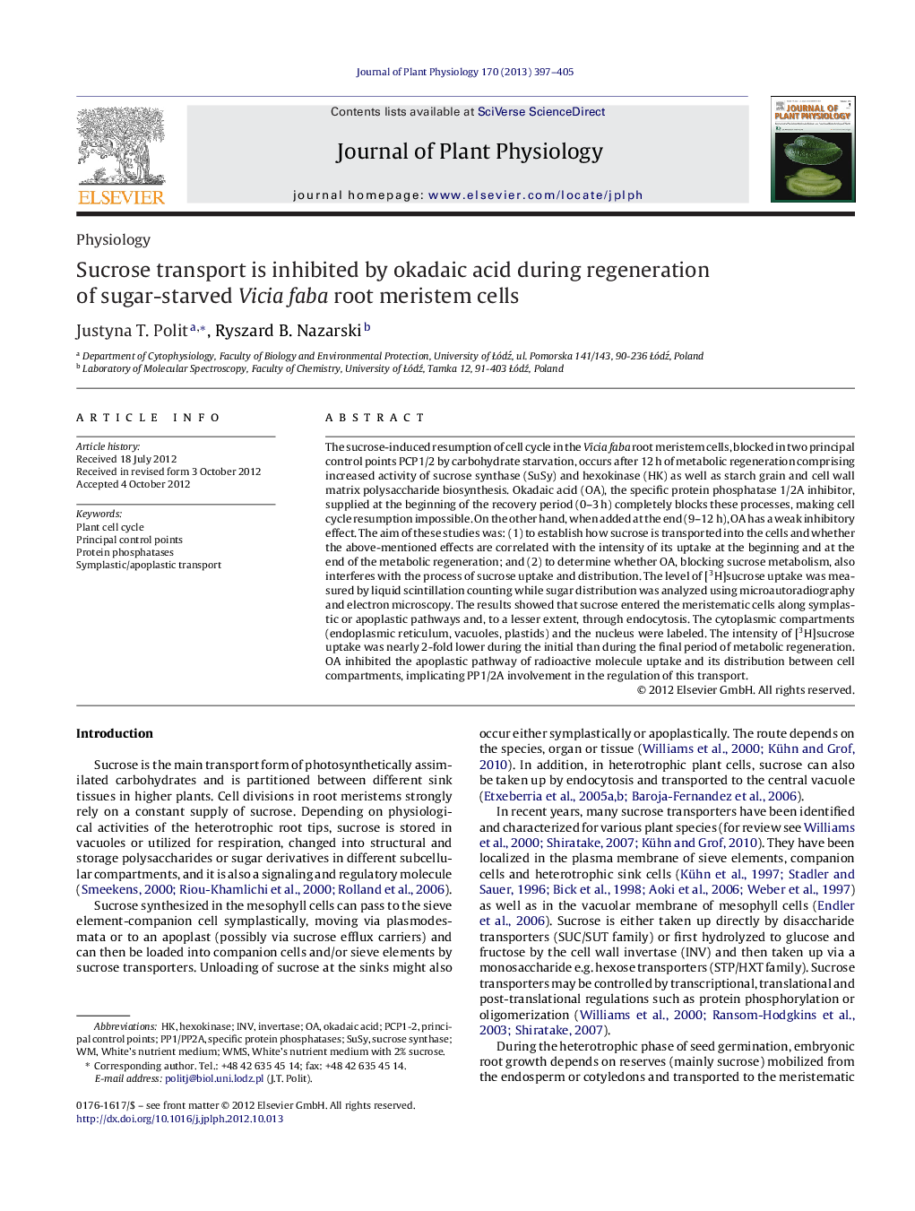 Sucrose transport is inhibited by okadaic acid during regeneration of sugar-starved Vicia faba root meristem cells