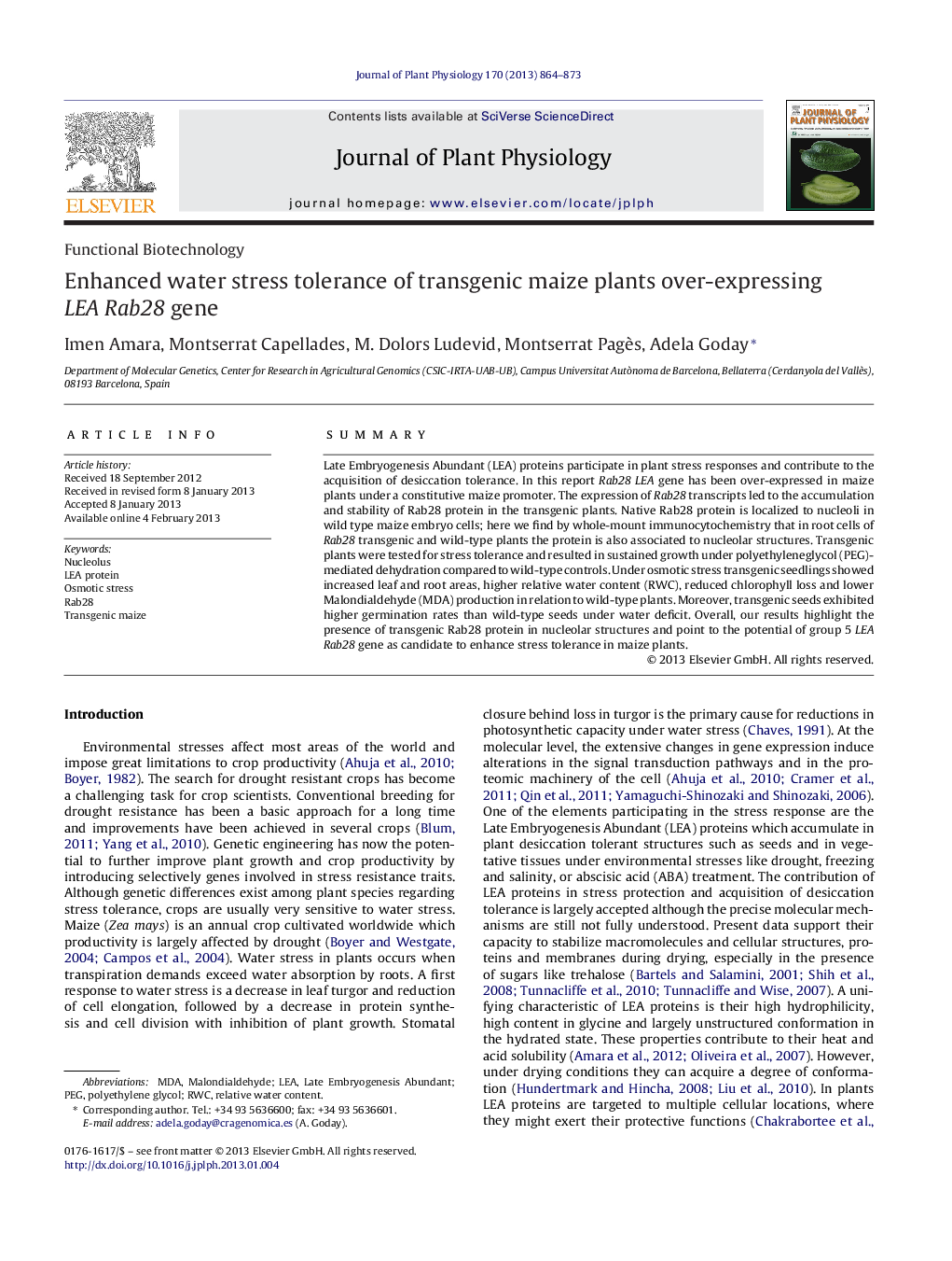 Enhanced water stress tolerance of transgenic maize plants over-expressing LEA Rab28 gene