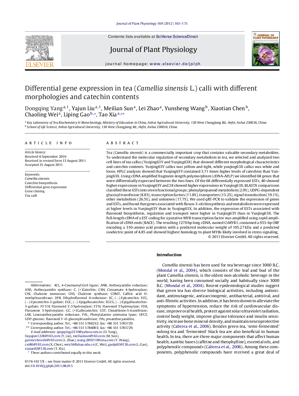 Differential gene expression in tea (Camellia sinensis L.) calli with different morphologies and catechin contents