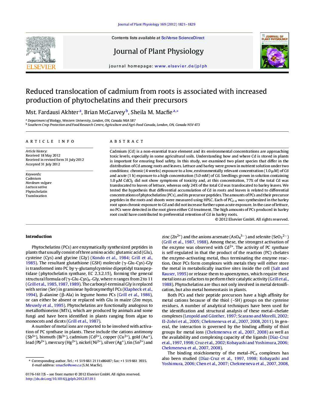 Reduced translocation of cadmium from roots is associated with increased production of phytochelatins and their precursors