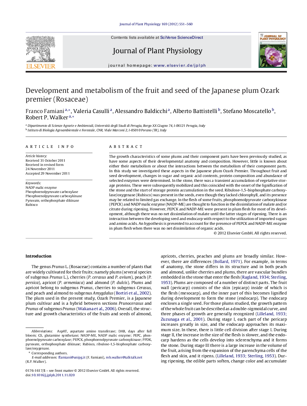 Development and metabolism of the fruit and seed of the Japanese plum Ozark premier (Rosaceae)