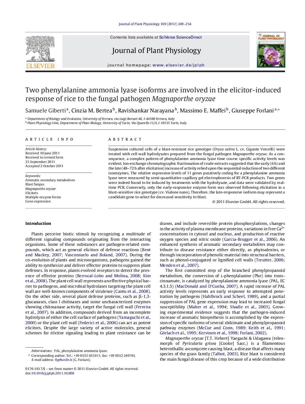 Two phenylalanine ammonia lyase isoforms are involved in the elicitor-induced response of rice to the fungal pathogen Magnaporthe oryzae