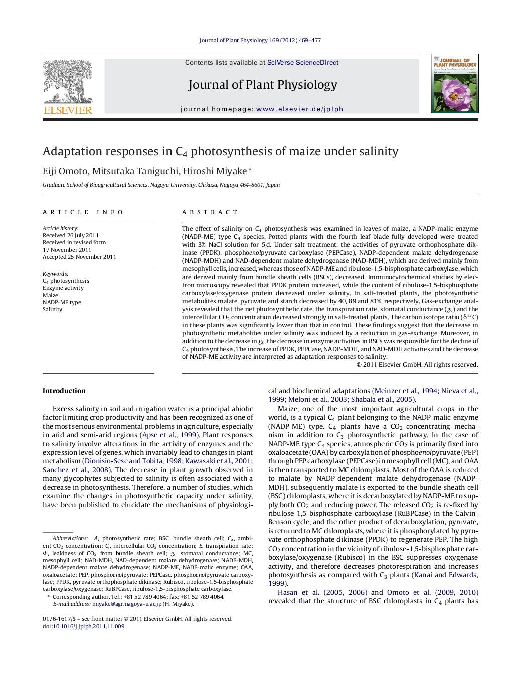 Adaptation responses in C4 photosynthesis of maize under salinity