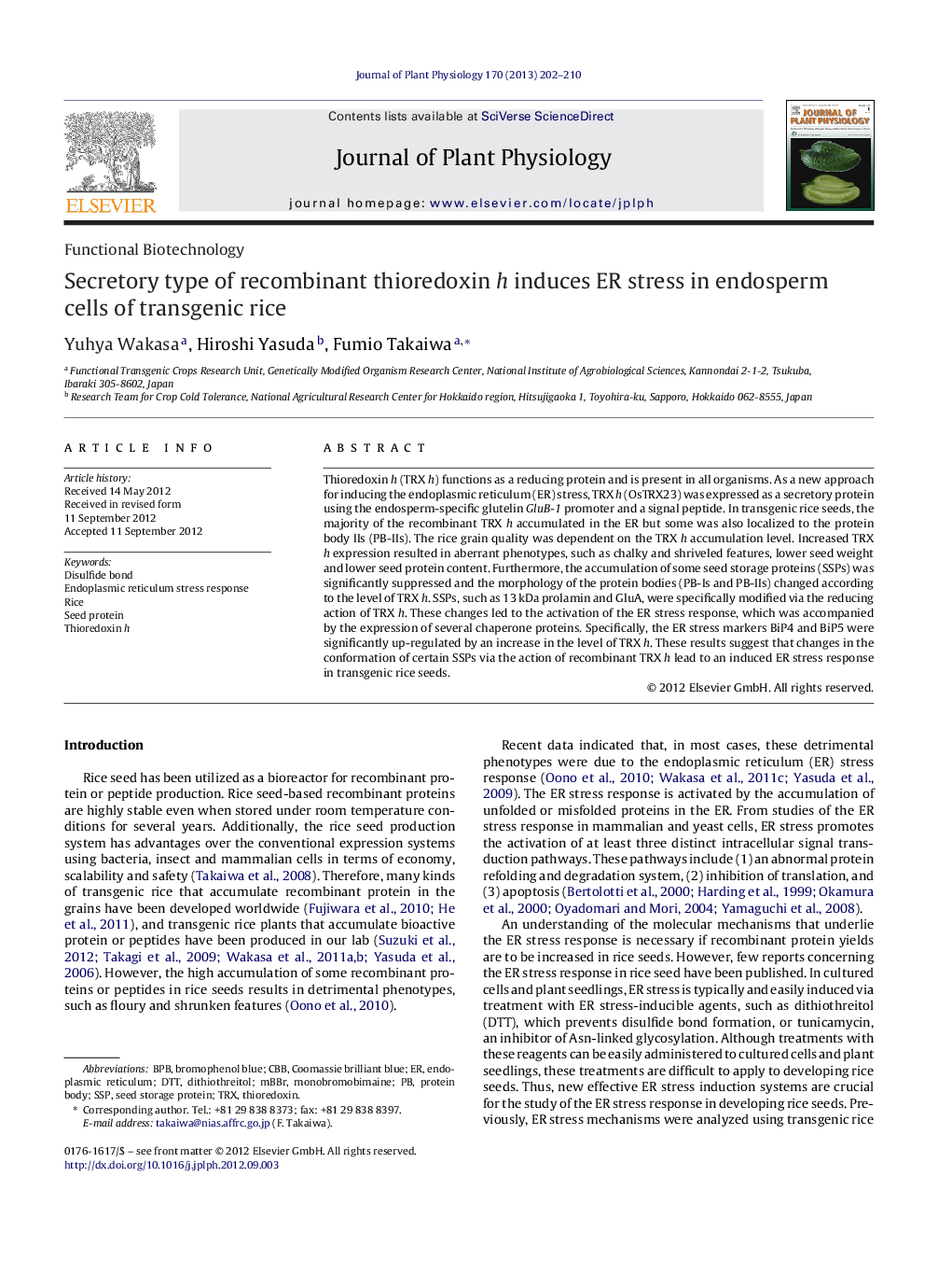 Secretory type of recombinant thioredoxin h induces ER stress in endosperm cells of transgenic rice