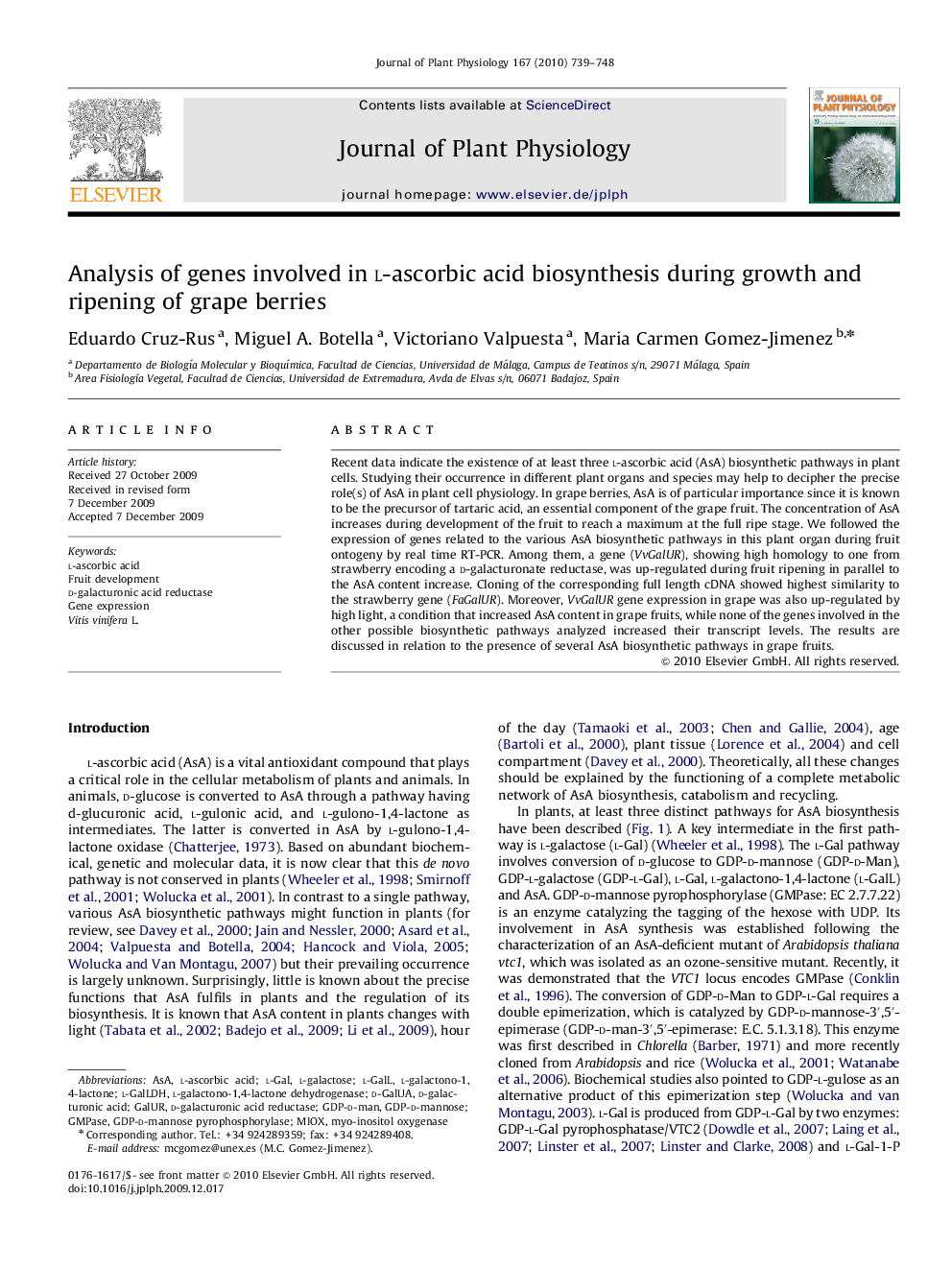 Analysis of genes involved in l-ascorbic acid biosynthesis during growth and ripening of grape berries