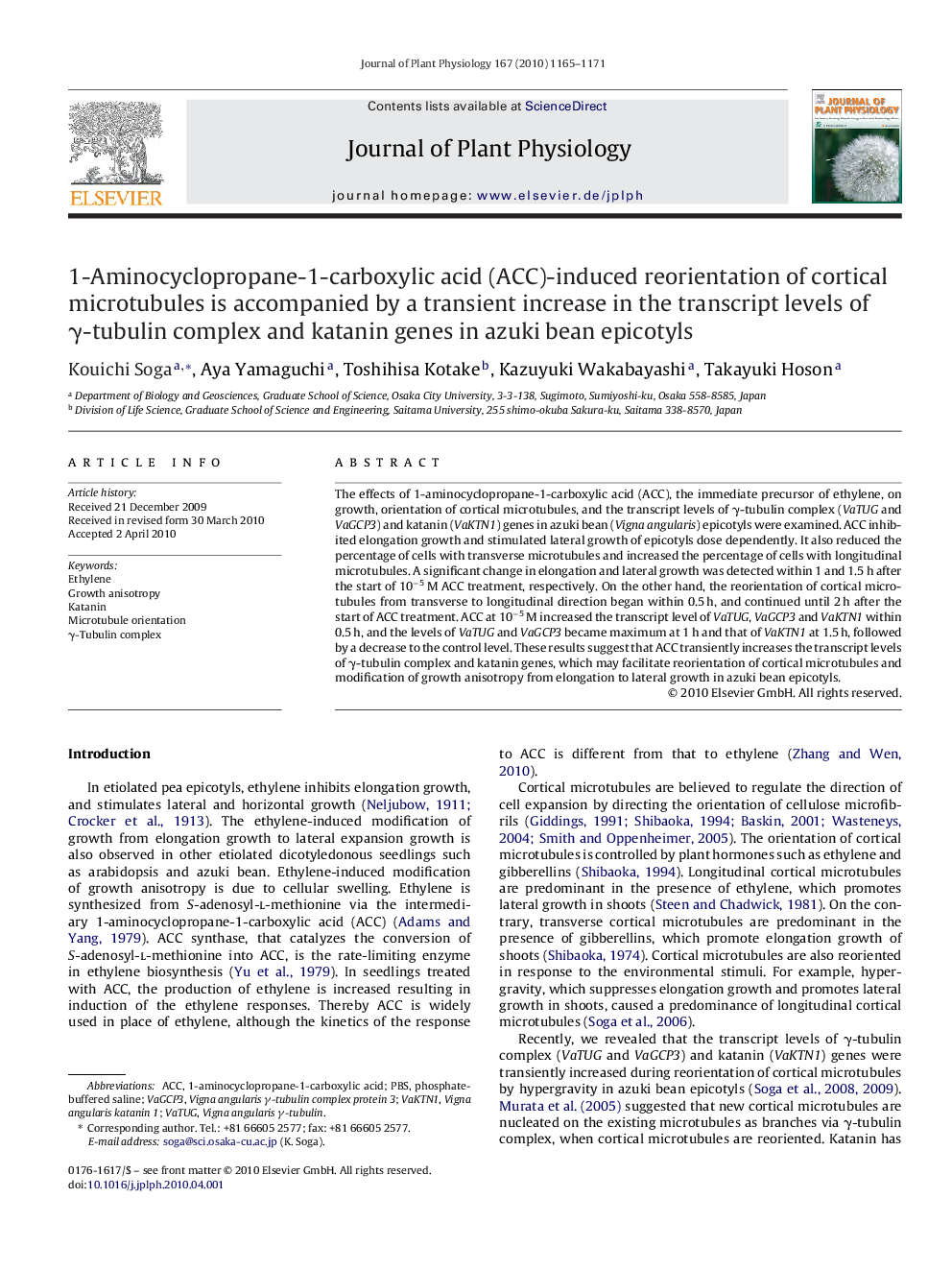 1-Aminocyclopropane-1-carboxylic acid (ACC)-induced reorientation of cortical microtubules is accompanied by a transient increase in the transcript levels of γ-tubulin complex and katanin genes in azuki bean epicotyls