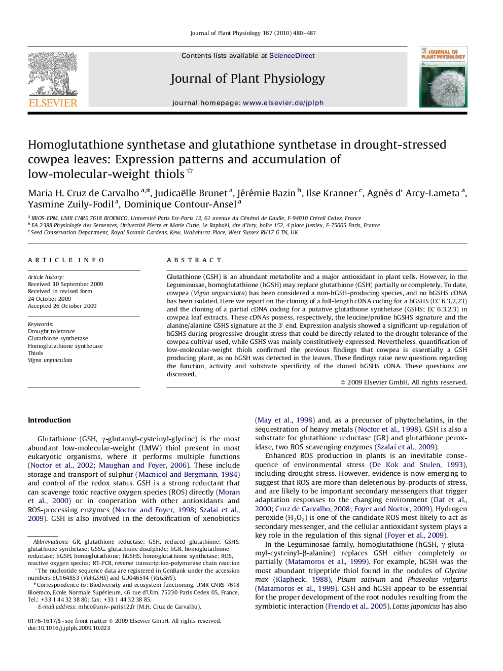 Homoglutathione synthetase and glutathione synthetase in drought-stressed cowpea leaves: Expression patterns and accumulation of low-molecular-weight thiols 