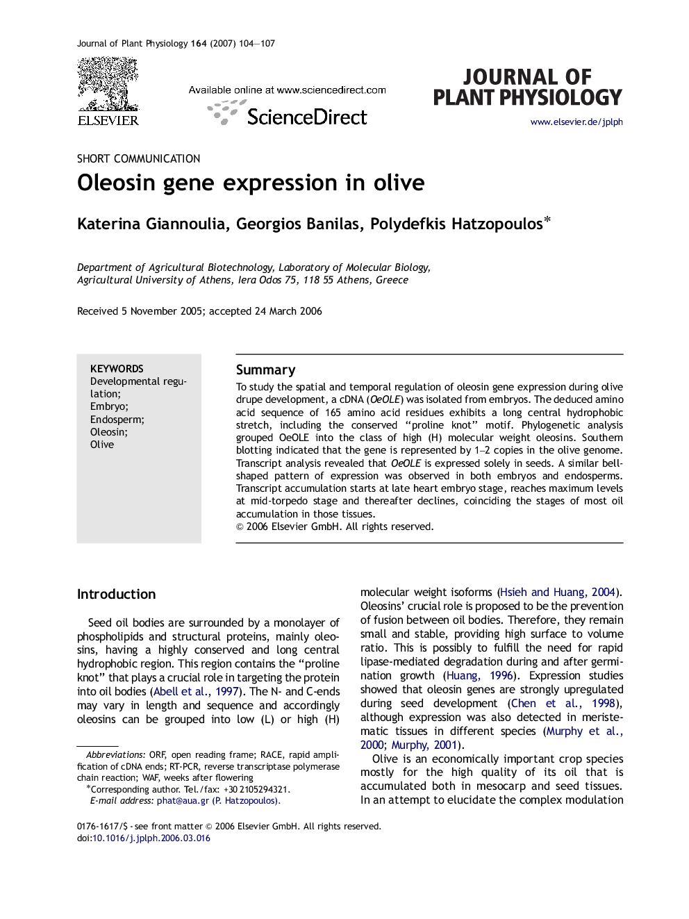 Oleosin gene expression in olive