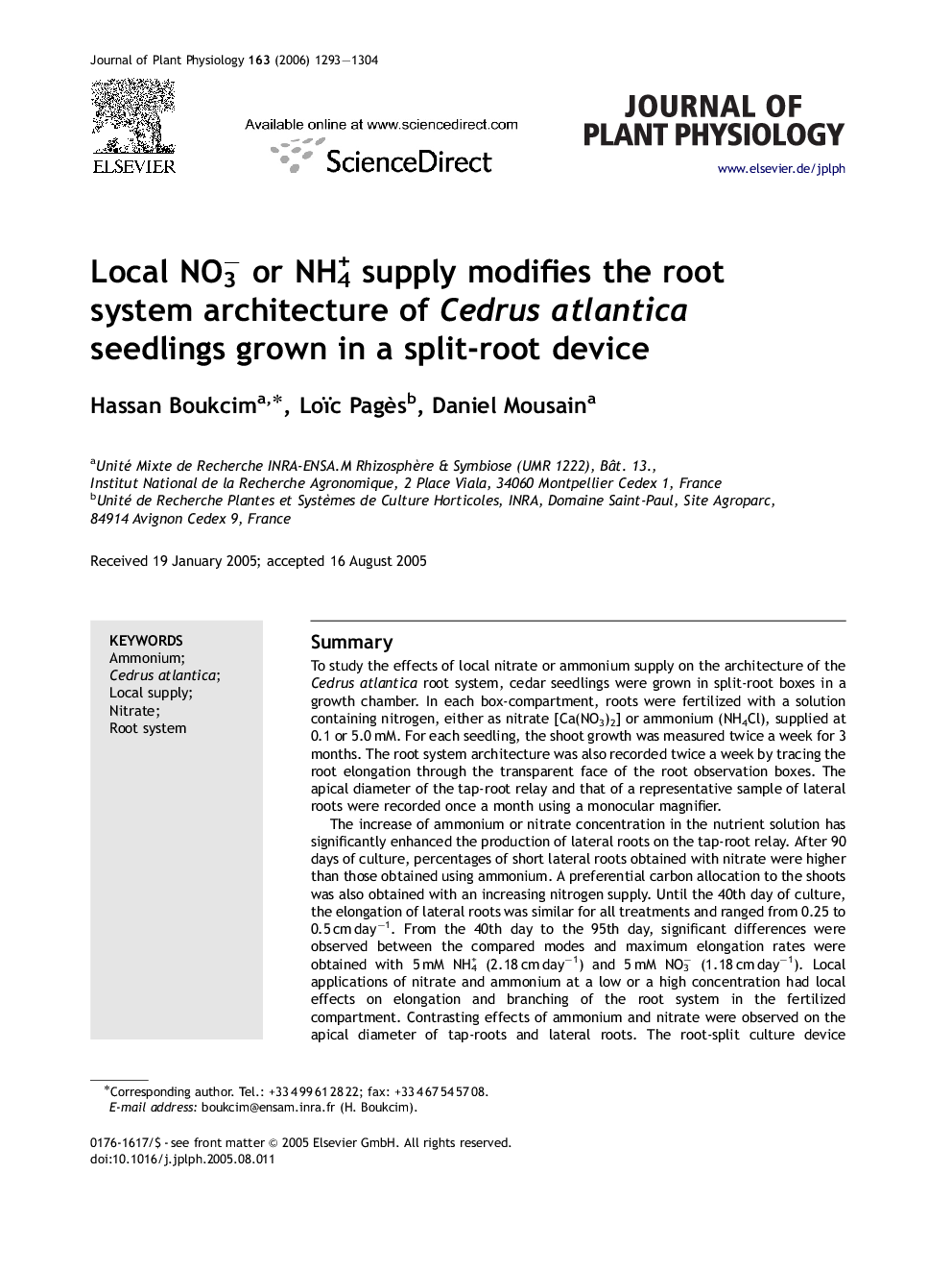 Local NO3− or NH4+ supply modifies the root system architecture of Cedrus atlantica seedlings grown in a split-root device