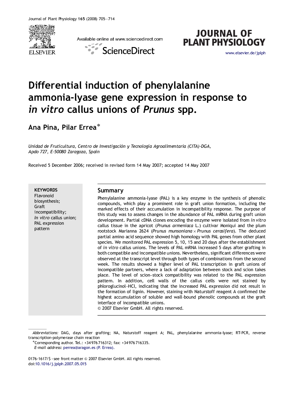 Differential induction of phenylalanine ammonia-lyase gene expression in response to in vitro callus unions of Prunus spp.