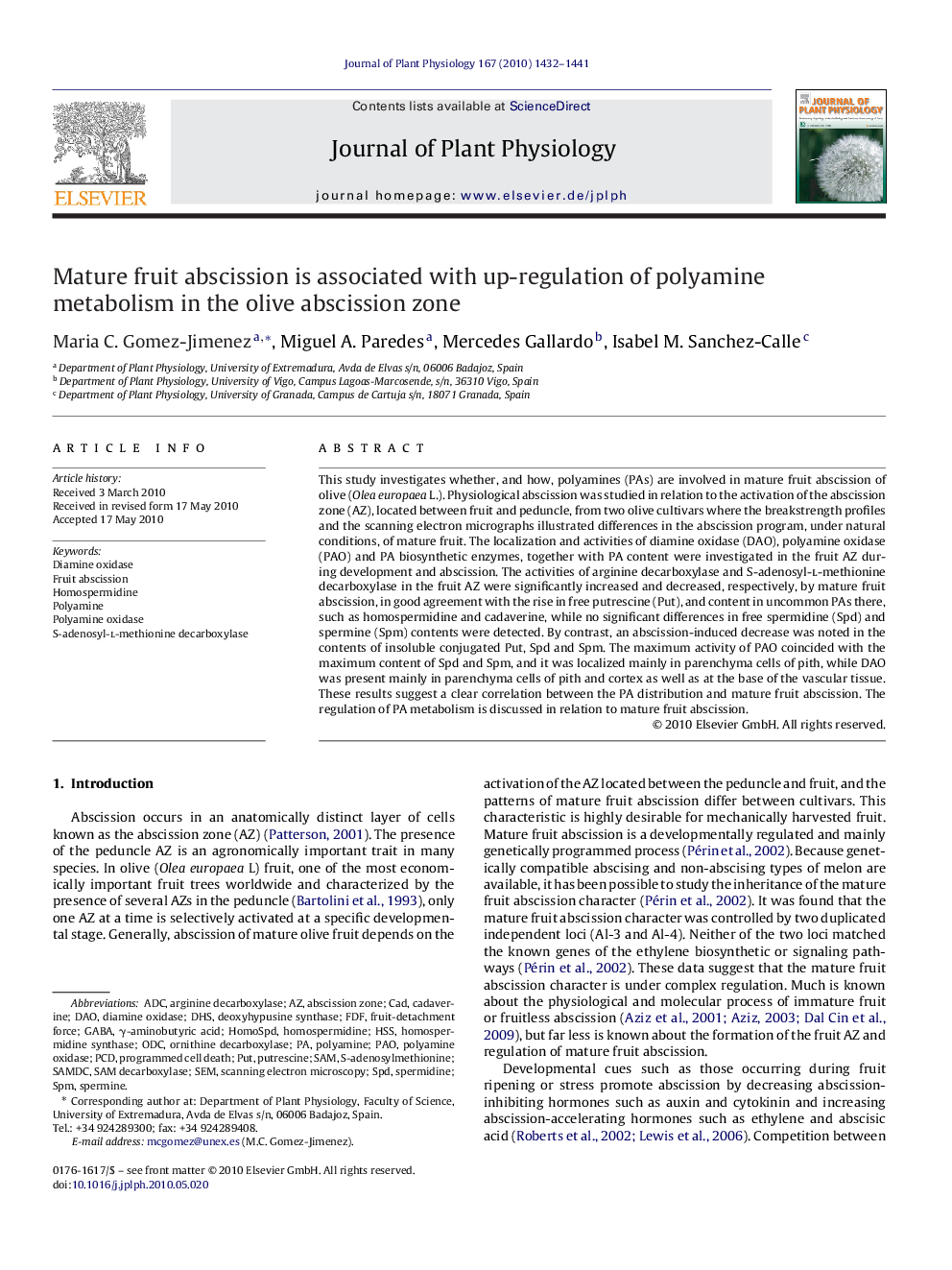 Mature fruit abscission is associated with up-regulation of polyamine metabolism in the olive abscission zone