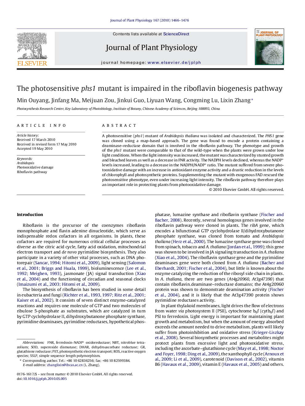 The photosensitive phs1 mutant is impaired in the riboflavin biogenesis pathway