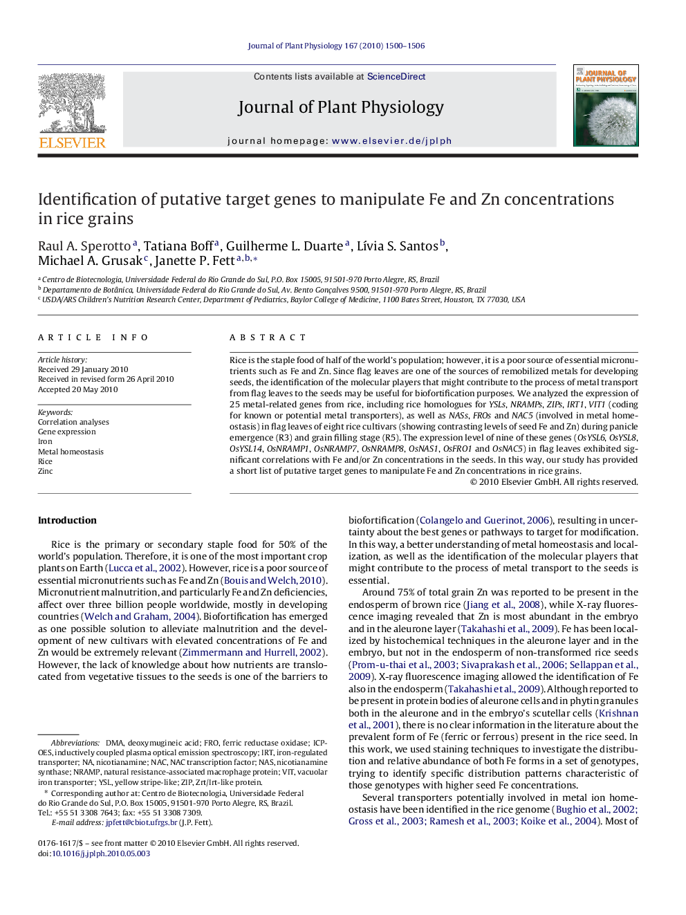 Identification of putative target genes to manipulate Fe and Zn concentrations in rice grains