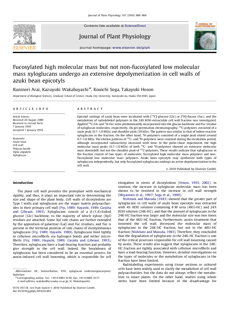 Fucosylated high molecular mass but not non-fucosylated low molecular mass xyloglucans undergo an extensive depolymerization in cell walls of azuki bean epicotyls