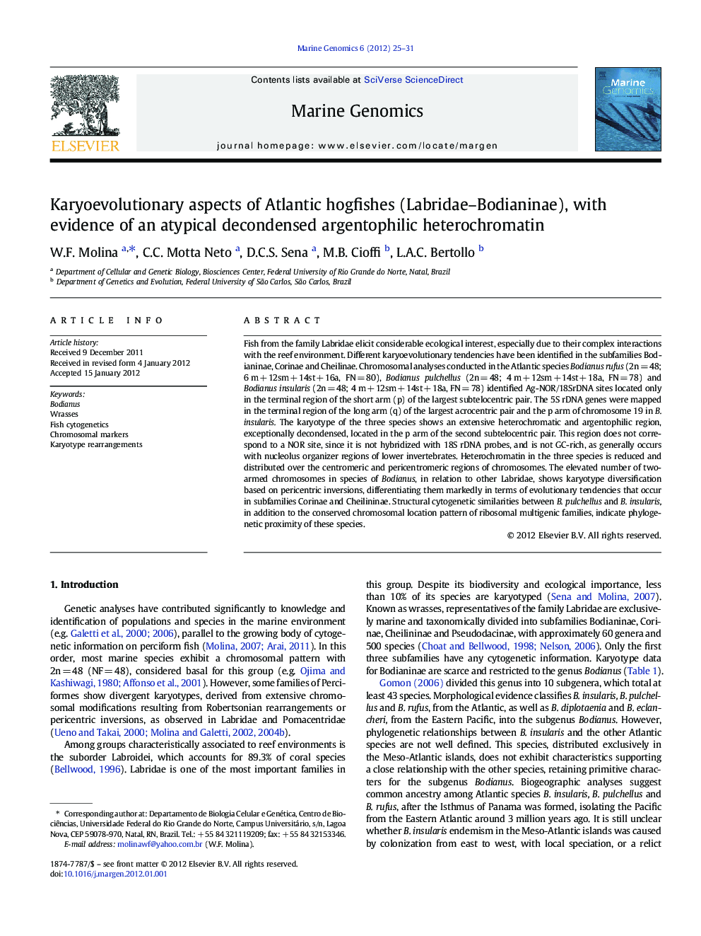 Karyoevolutionary aspects of Atlantic hogfishes (Labridae–Bodianinae), with evidence of an atypical decondensed argentophilic heterochromatin