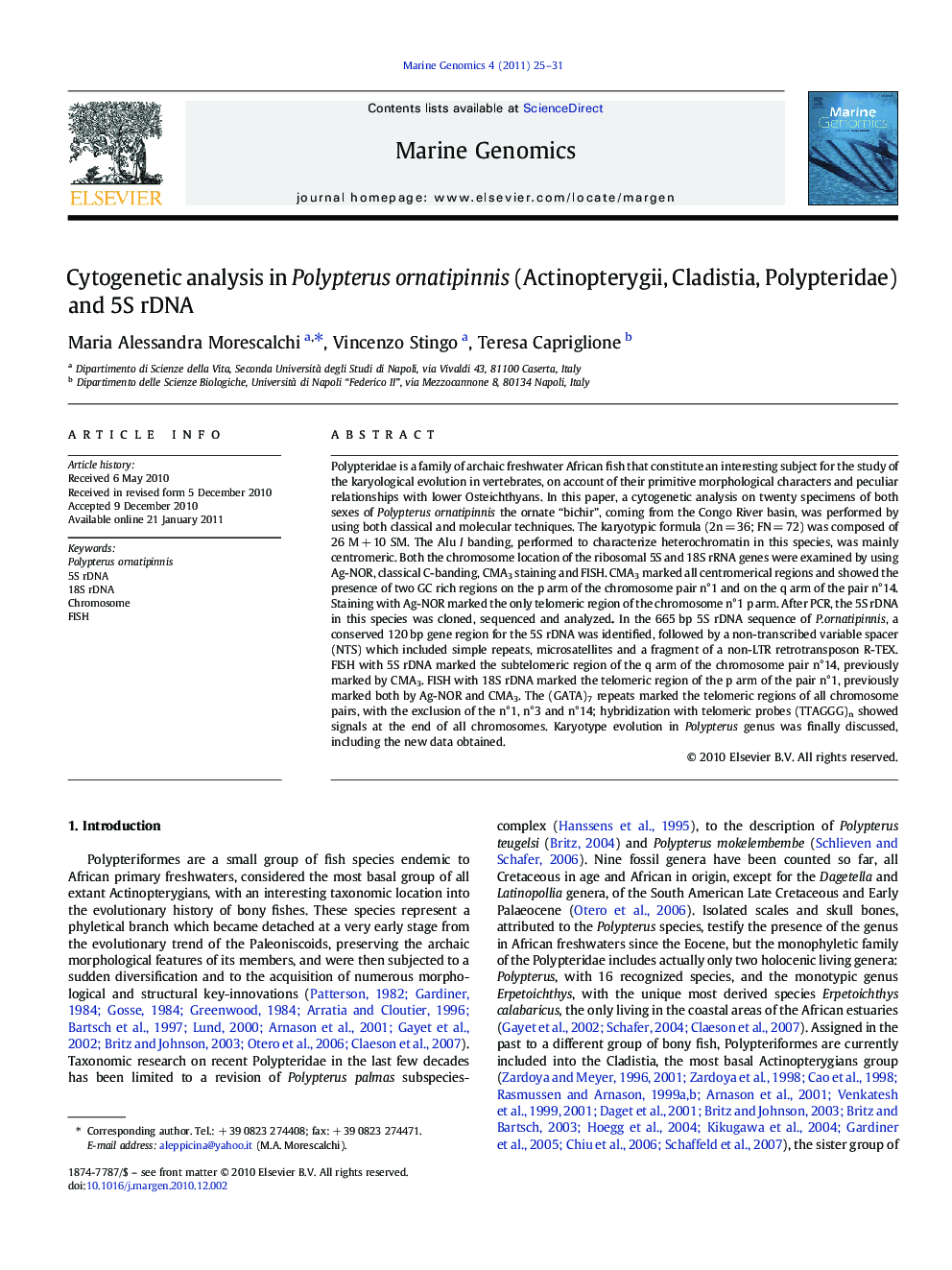 Cytogenetic analysis in Polypterus ornatipinnis (Actinopterygii, Cladistia, Polypteridae) and 5S rDNA
