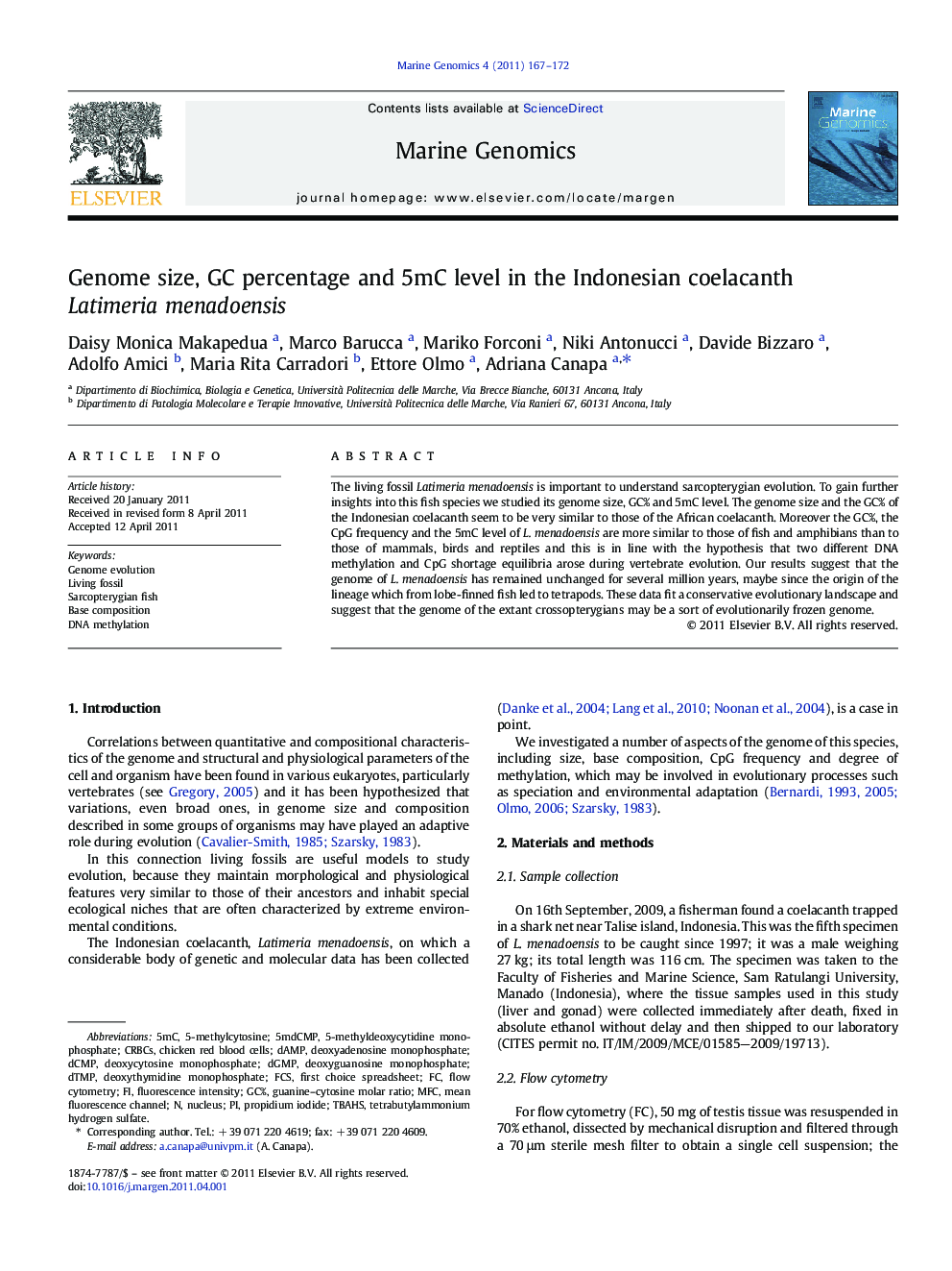 Genome size, GC percentage and 5mC level in the Indonesian coelacanth Latimeria menadoensis
