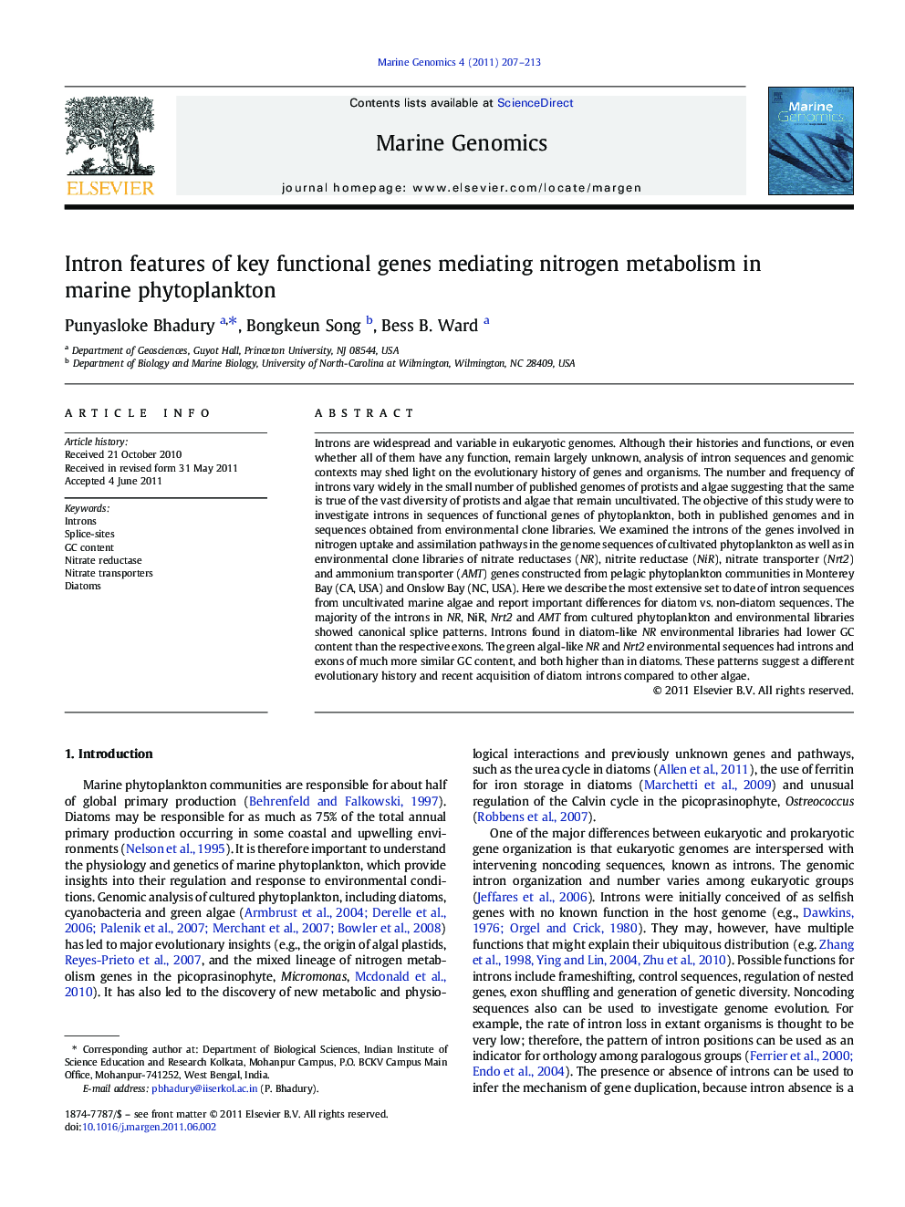 Intron features of key functional genes mediating nitrogen metabolism in marine phytoplankton