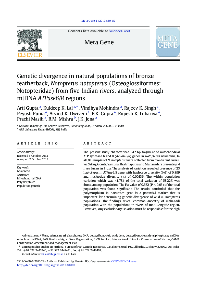 Genetic divergence in natural populations of bronze featherback, Notopterus notopterus (Osteoglossiformes: Notopteridae) from five Indian rivers, analyzed through mtDNA ATPase6/8 regions