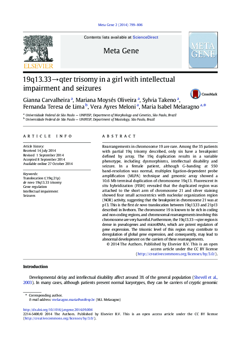 19q13.33→qter trisomy in a girl with intellectual impairment and seizures