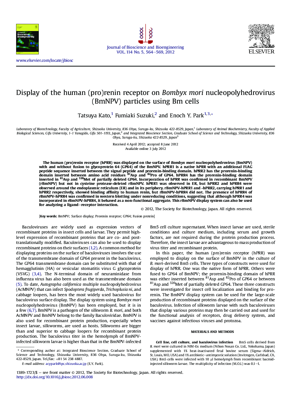 Display of the human (pro)renin receptor on Bombyx mori nucleopolyhedrovirus (BmNPV) particles using Bm cells