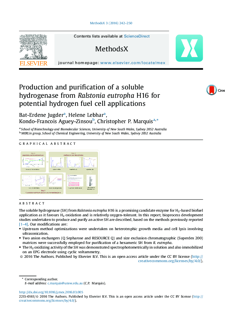 Production and purification of a soluble hydrogenase from Ralstonia eutropha H16 for potential hydrogen fuel cell applications
