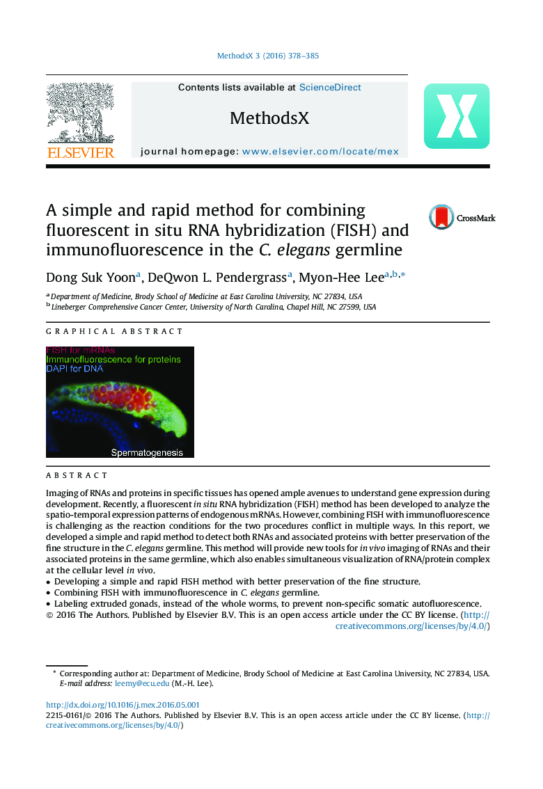 A simple and rapid method for combining fluorescent in situ RNA hybridization (FISH) and immunofluorescence in the C. elegans germline