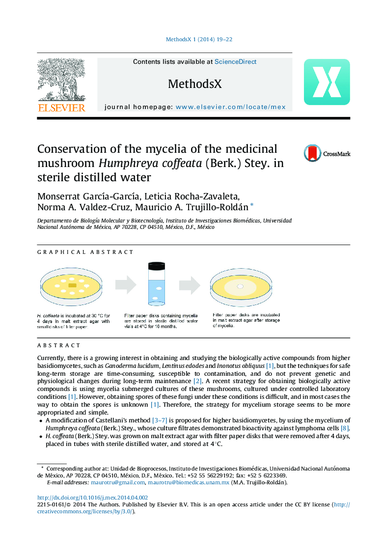 Conservation of the mycelia of the medicinal mushroom Humphreya coffeata (Berk.) Stey. in sterile distilled water