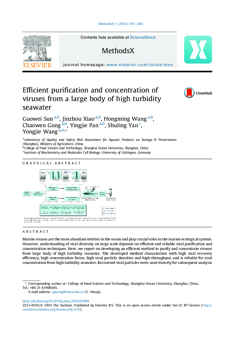 Efficient purification and concentration of viruses from a large body of high turbidity seawater