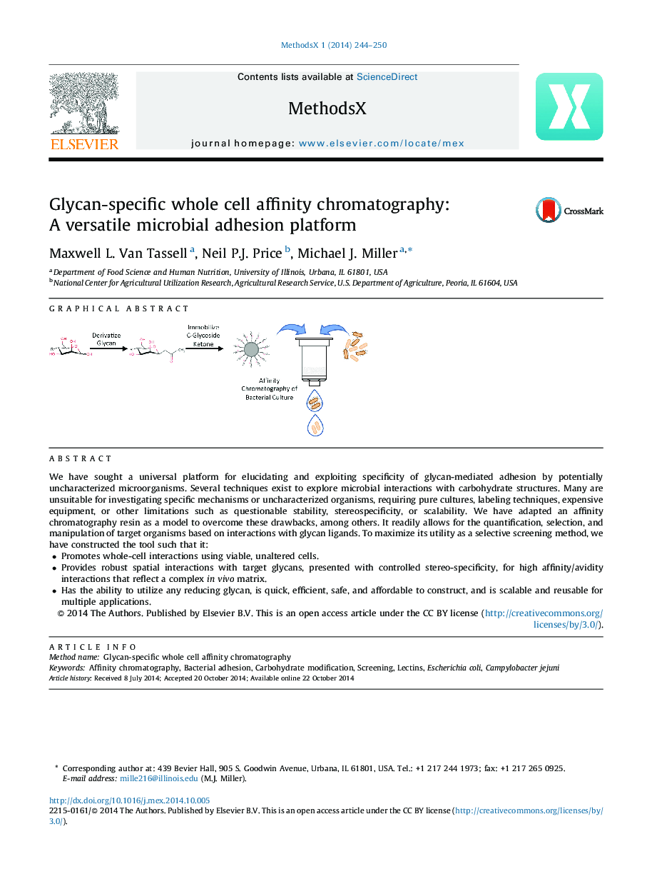 Glycan-specific whole cell affinity chromatography: A versatile microbial adhesion platform