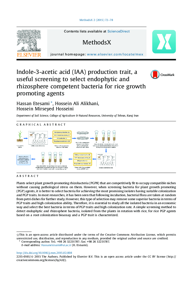 Indole-3-acetic acid (IAA) production trait, a useful screening to select endophytic and rhizosphere competent bacteria for rice growth promoting agents 