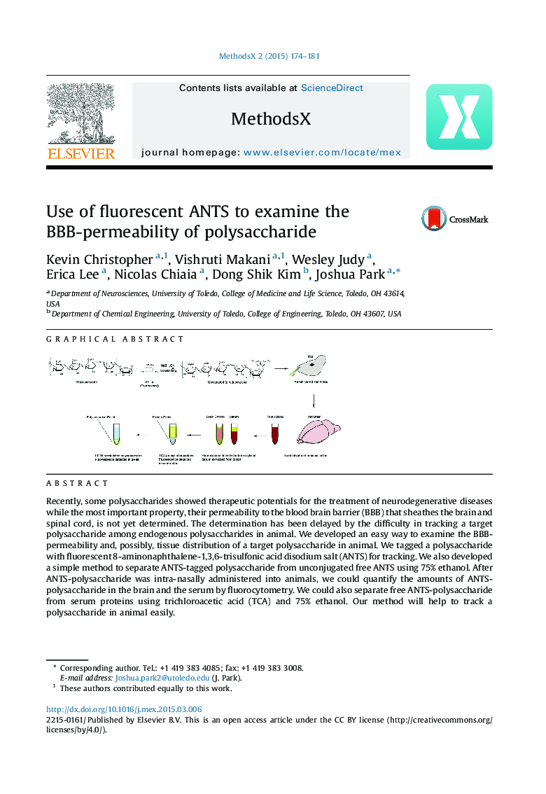 Use of fluorescent ANTS to examine the BBB-permeability of polysaccharide