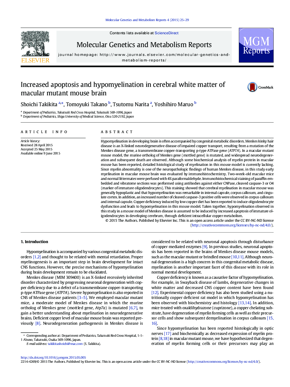 Increased apoptosis and hypomyelination in cerebral white matter of macular mutant mouse brain