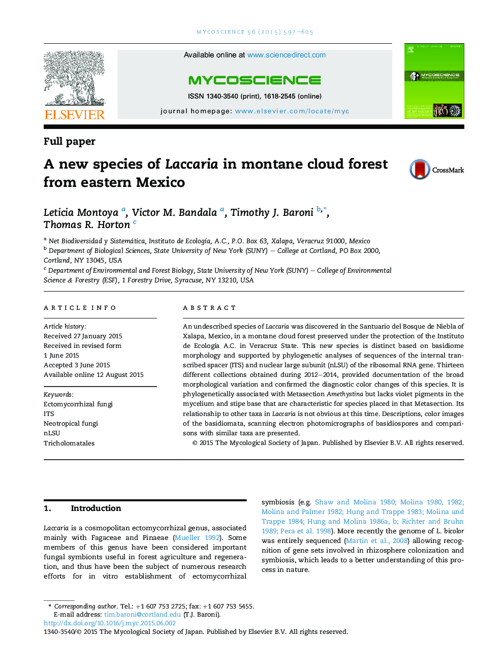 A new species of Laccaria in montane cloud forest from eastern Mexico