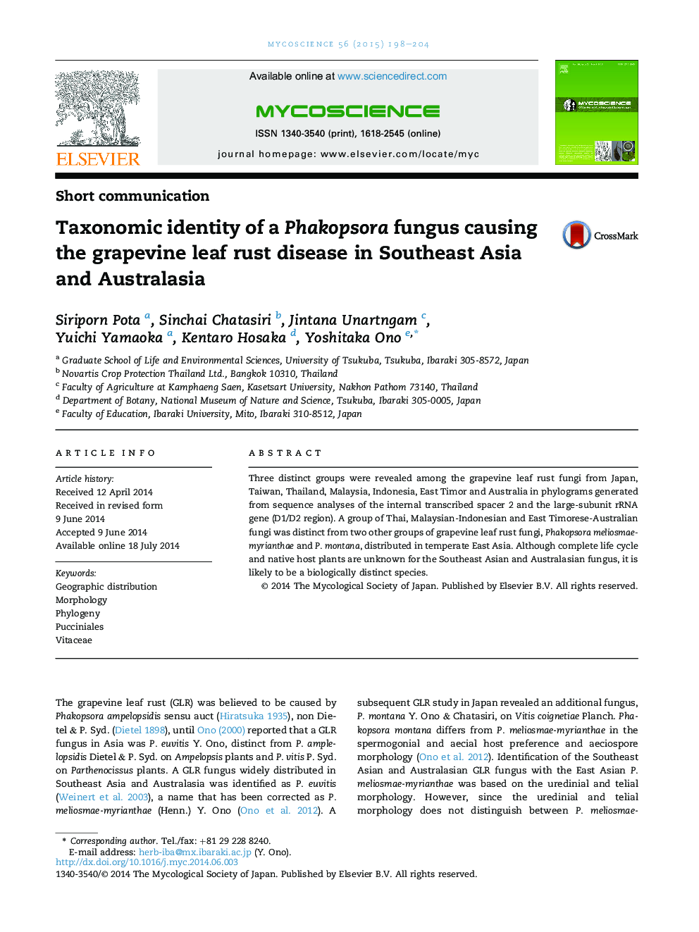 Taxonomic identity of a Phakopsora fungus causing the grapevine leaf rust disease in Southeast Asia and Australasia